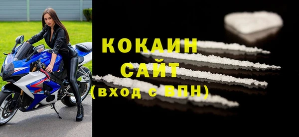 винт Горняк