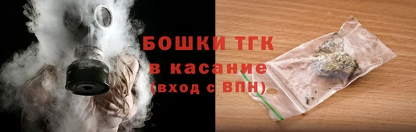 винт Горняк