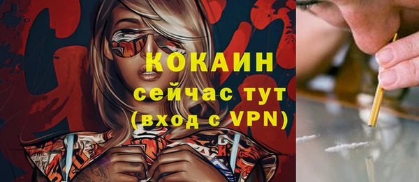 спиды Горно-Алтайск