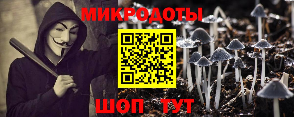 Псилоцибиновые грибы прущие грибы Заволжье