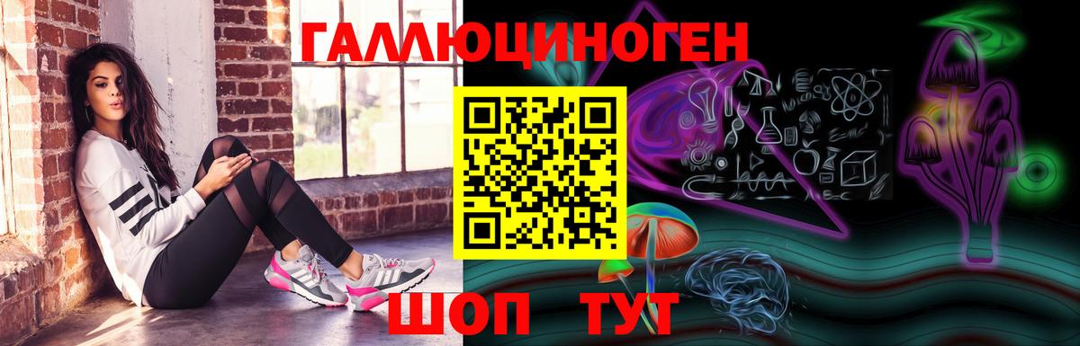 Псилоцибиновые грибы Psilocybe  Вход с VPN  купить наркотик  Заволжье  Псилоцибиновые грибы Psilocybine cubensis 