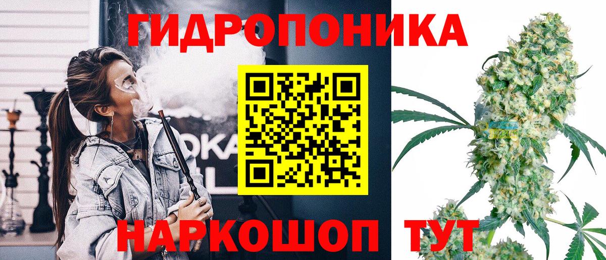 Марихуана план Заволжье